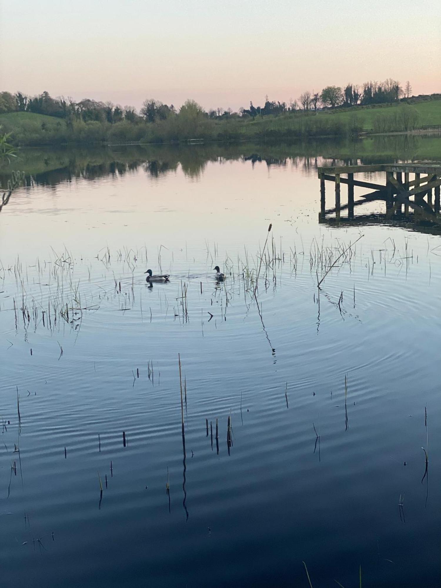 Killyfole Lakeside Lodges Corranny Bagian luar foto