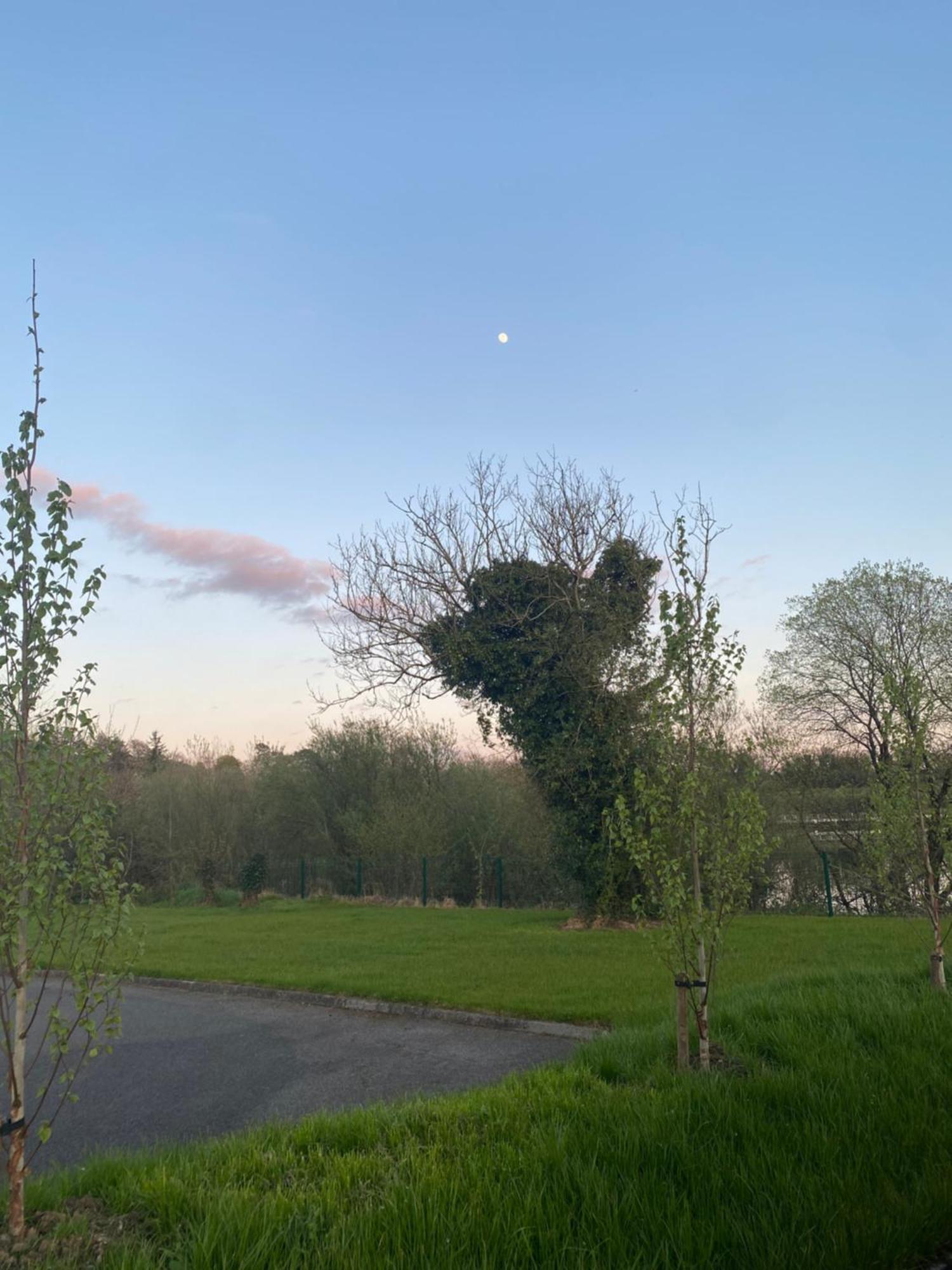 Killyfole Lakeside Lodges Corranny Bagian luar foto